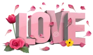 😠 LOVE amour, fleurs, rose, romantique, tulipe, rose, coeur, floral, Saint-Valentin telegram sticker