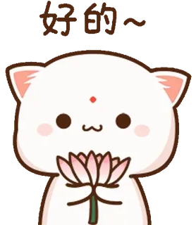 🌺 好的〜 gato, fofo, flor, kawaii, adorável, desenho animado telegram sticker