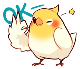😚 OK oiseau, ok, mignon, kawaii, emoji, sticker, perroquet, calopsitte whatsapp sticker