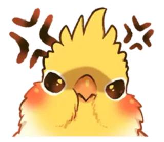 😠 calopsita, bravo, pássaro, animal de estimação, emoji, desenho animado telegram sticker