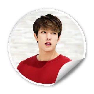 😍 telegram sticker