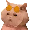 😎