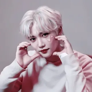 🐣 Felix kpop, idol, herz, süß, straykids telegram sticker