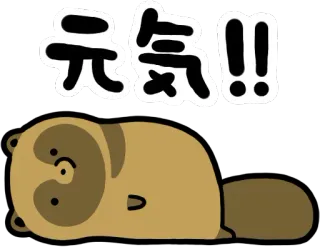 😴 元気！！ タヌキ, 日本, のんびり, 可愛い, 動物, お見舞い, 幸運 telegram sticker