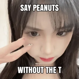🥜 SAY PEANUTS
WITHOUT THE T meme, joke, humor, offensive, funny, asian girl, wordplay telegram sticker