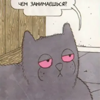 😏 ЧЕМ ЗАНИМАЕШЬСЯ? kucing, hewan, rusia, meme, kartun whatsapp sticker