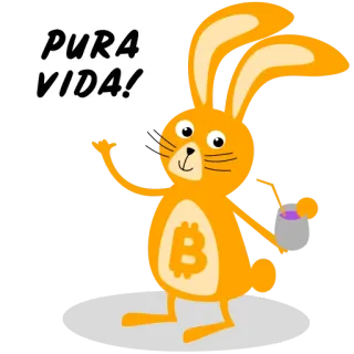🤙 PURA VIDA! rabbit, orange, bitcoin, pura vida, positive, costa rica telegram sticker