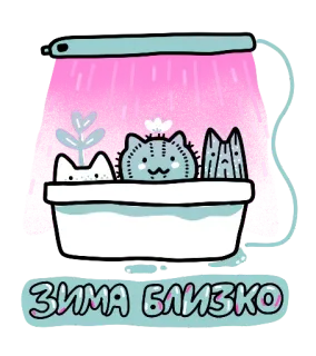 ❄️ ЗИМА БЛИЗКО mèo, mùa đông, xương rồng, cây telegram sticker