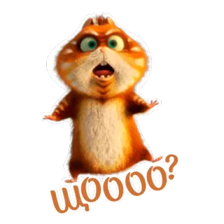 😳 ЩОООО? animowane zwierzę, zszokowany, słodkie, śmieszne, naklejka, zaskoczony telegram sticker