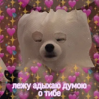 ❤️ лежу адыхаю думою о тибе dog, cute, meme, relax, funny, animal telegram sticker