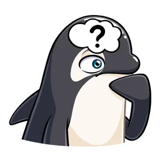 ❓ 범고래, 고래, 물음표, 생각, 혼란 telegram sticker