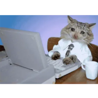 😭 kucing, menangis, komputer, kerja, kantor, sedih telegram sticker