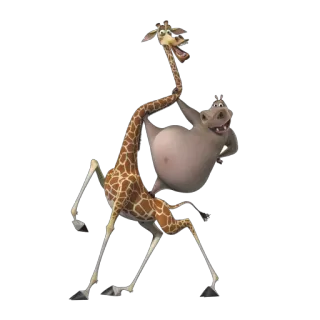 👫 Animazione, Giraffa, Ippopotamo, Divertente, Carino, Animale telegram sticker