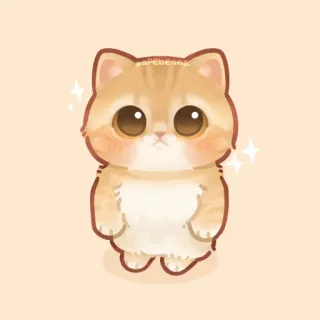 ✨ arpegeanna. gato, gatinho, fofo, kawaii, animal, animal de estimação, gato doméstico telegram sticker