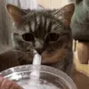 🍹