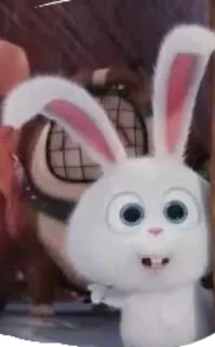 🐰 Snowball The Secret Life of Pets conejo, dibujos animados, animal, mascota, animado, blanco whatsapp sticker