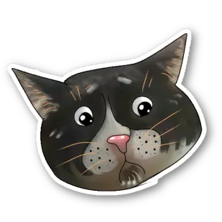 😟 mèo, thú cưng, động vật, nhãn dán, mèo nhà, động vật có vú telegram sticker