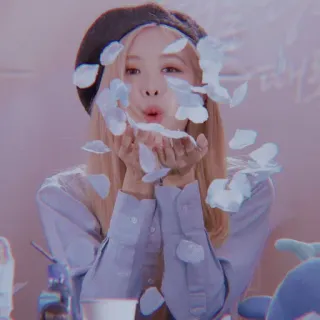 🐿️ Rose kpop, rosa, blackpink, petali di fiori, che soffia, carino, femmina, persona telegram sticker