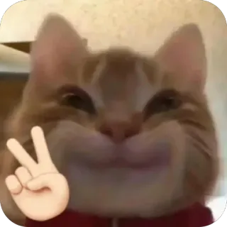 🫥 cat, animal, peace sign, sticker, emoji telegram sticker