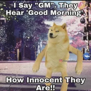 😂 Doge I Say "GM". They Hear 'Good Morning'. How Innocent They Are!! doge, meme, gm, good morning, internet humor, shiba inu, funny, sarcasm telegram sticker
