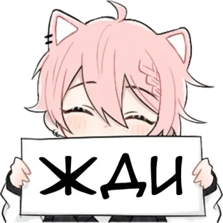 ⏳ ЖДИ anime, cat, russian, waiting, cute whatsapp sticker