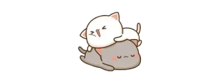 🫖 kucing, imut, kartun, binatang, stiker, kawaii telegram sticker