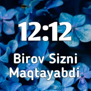 🔐 12:12
Birov Sizni Maqtayabdi zeit, blumen, blau, usbekisch, text, kompliment whatsapp sticker