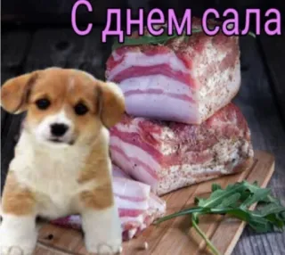 🥩 С днем сала dog, puppy, bacon, pork belly, food, meat, animal, celebration telegram sticker