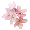 🌸