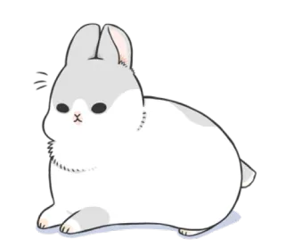 🐰 lapin, mignon, animal, lapinou, animal de compagnie, domestique telegram sticker
