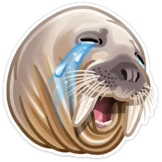 😢 walrus, crying, sad, animal, tears, emotion telegram sticker