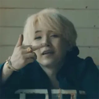 🖕 Stinkefinger, Geste, beleidigend, Person telegram sticker
