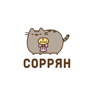 🙄 СОРРЯН кот, извини, милый, я пытался, извинения whatsapp sticker