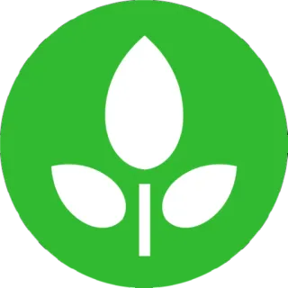 🍂 растение, лист, природа, символ, экологичный telegram sticker