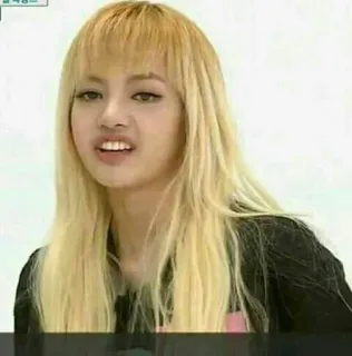 🦋 Lisa kpop, idol, cantante, lisa, blackpink, celebridad telegram sticker