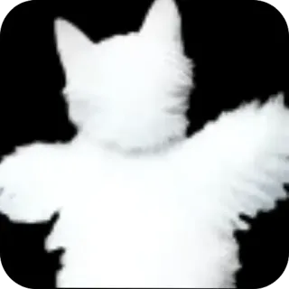 🔥 white kitten whatsapp sticker