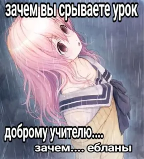 🤩 зачем вы срываете урок
доброму учителю....
зачем.... ебланы anime, russian, text, insult, offensive telegram sticker