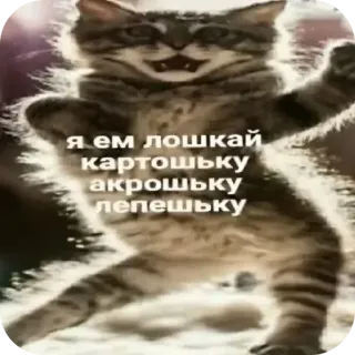 🐱 я ем лошкай картошку акрошку лепешку 猫, 動物, 面白い, ロシア, 食べ物 telegram sticker