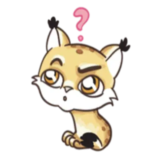❓ mèo, dấu chấm hỏi, động vật, nhãn dán, dễ thương, kawaii, bối rối whatsapp sticker