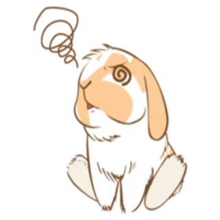 😵 kelinci, hewan, kartun, pusing, bingung, lucu, stiker whatsapp sticker