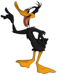 😇 Daffy Duck kartun, Looney Tunes, Daffy Duck, Warner Bros, karakter, bebek whatsapp sticker