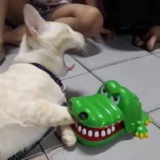 🐉 猫, 動物, ペット, おもちゃ, ワニ, 家畜, 哺乳類 telegram sticker
