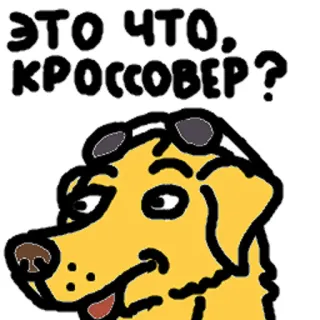 🐶 ЭТО ЧТО.. КРОССОВЕР? anjing, crossover, kacamata hitam, rusia, meme telegram sticker