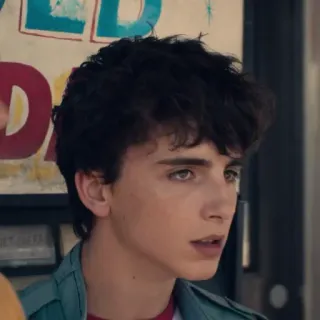 😐 Timothée Chalamet знаменитость, актер, портрет, мужчина, тимоти шаламе whatsapp sticker