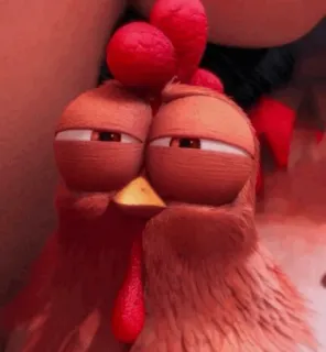 Nafise the chicken 🐔 whatsapp stickers