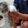 😺