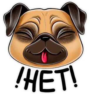 🙅‍♀️ НЕТ! perro, pug, no, ruso, animal, pegatina telegram sticker