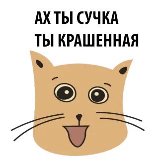 😌 АХ ТЫ СУЧКА ТЫ КРАШЕННАЯ gato, desenho animado, ofensivo, insulto telegram sticker