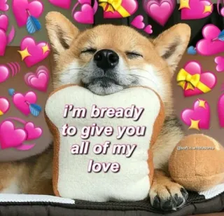 💓 I'm bready to give you all of my love hond, liefde, meme, brood, schattig, dier telegram sticker