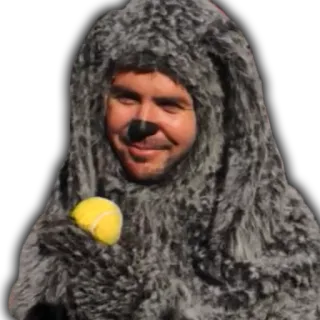 Wilfred telegram stickers